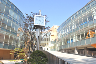 서울 일본인 학교